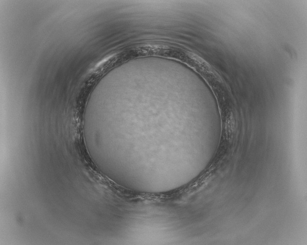 X0000116060822200912041852