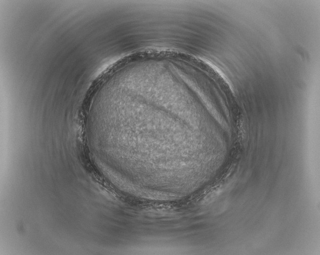 X0000116060823200912041852