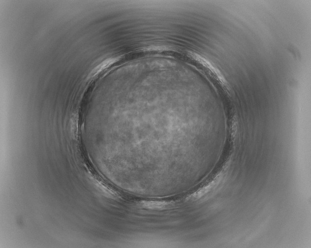 X0000116060825200912041852