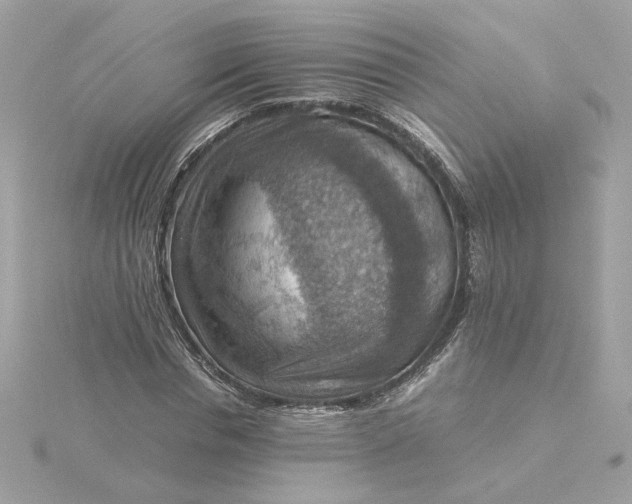 X0000116060826200912041852