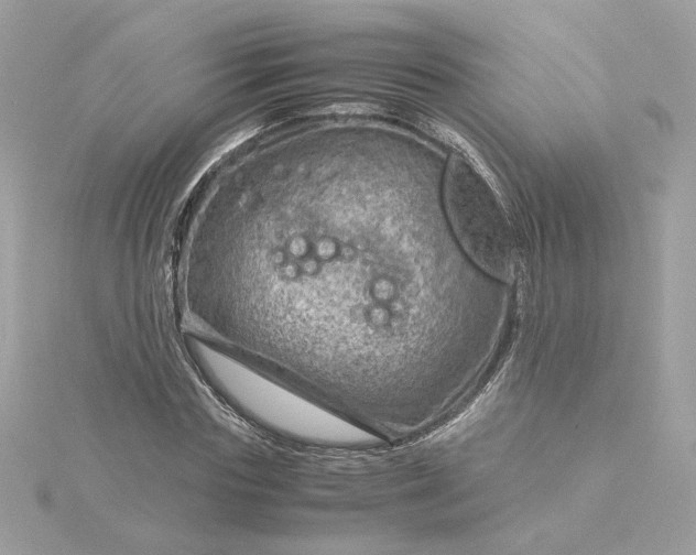 X0000116060827200912041852