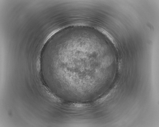 X0000116060829200912041852