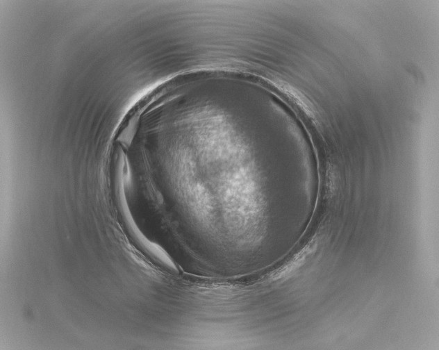 X0000116060830200912041852