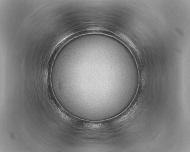 X0000116060831200912041852