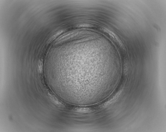 X0000116060833200912041852