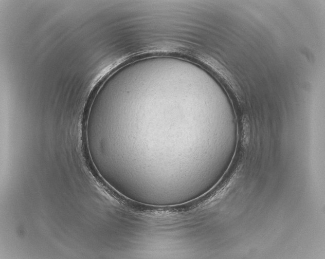 X0000116060834200912041852