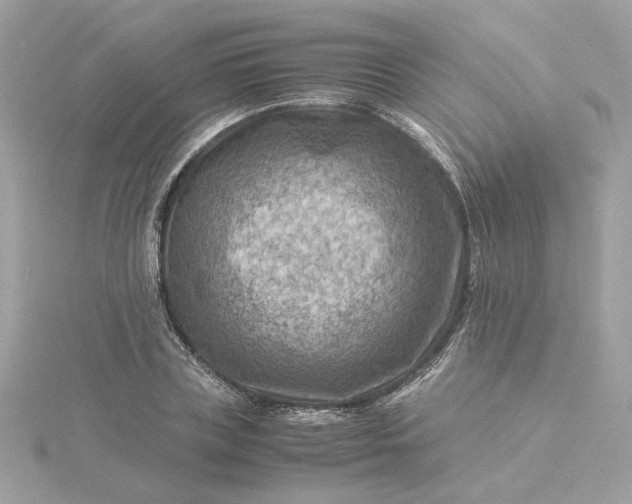 X0000116060835200912041852