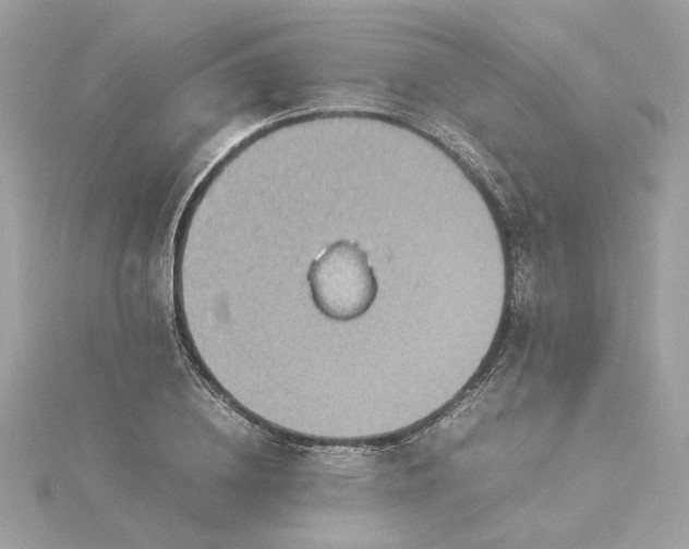 X0000116060836200912041852