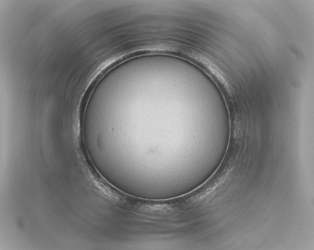 X0000116060837200912041852