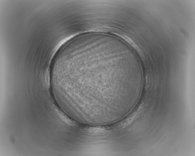 X0000116060838200912041852