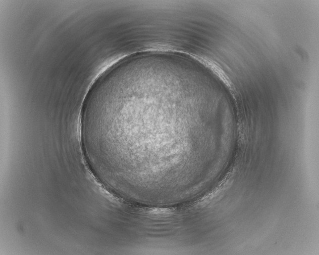 X0000116060839200912041852