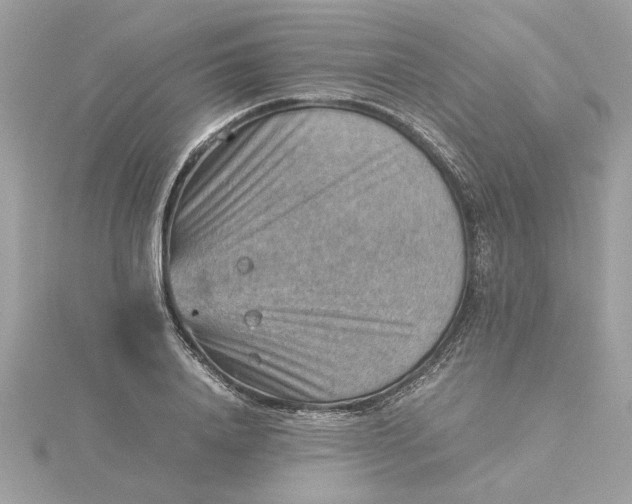 X0000116060840200912041852