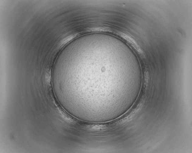 X0000116060841200912041852