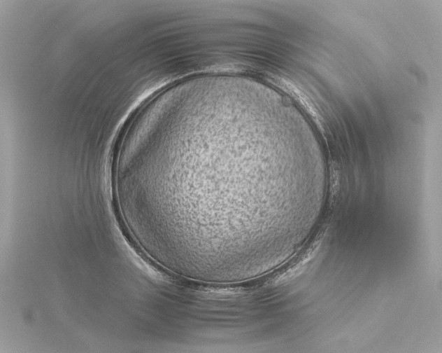 X0000116060843200912041852