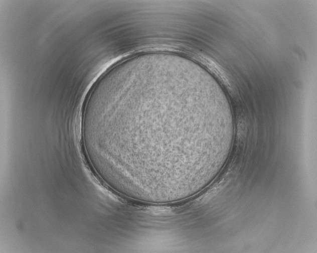 X0000116060844200912041852