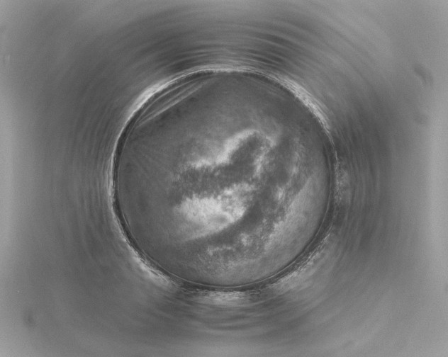 X0000116060845200912041852