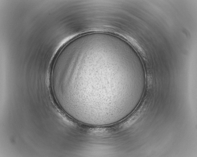 X0000116060846200912041852