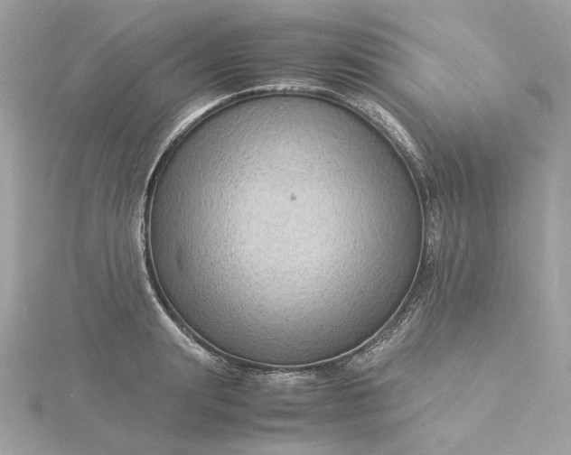 X0000116060847200912041852