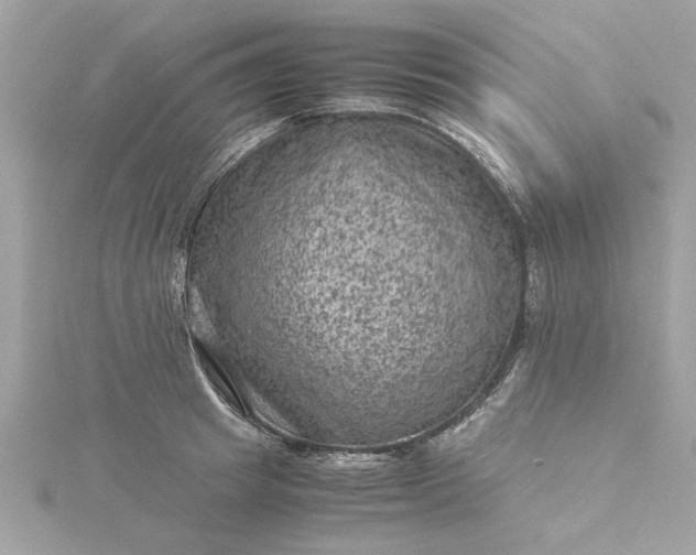 X0000116060849200912041852