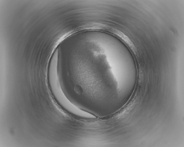 X0000116060850200912041852