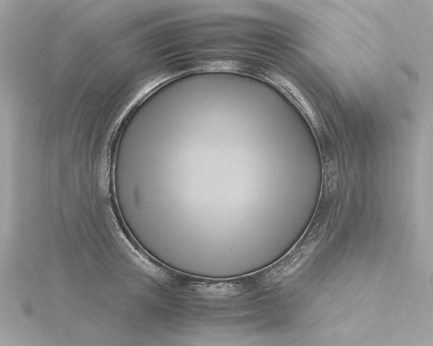 X0000116060851200912041852