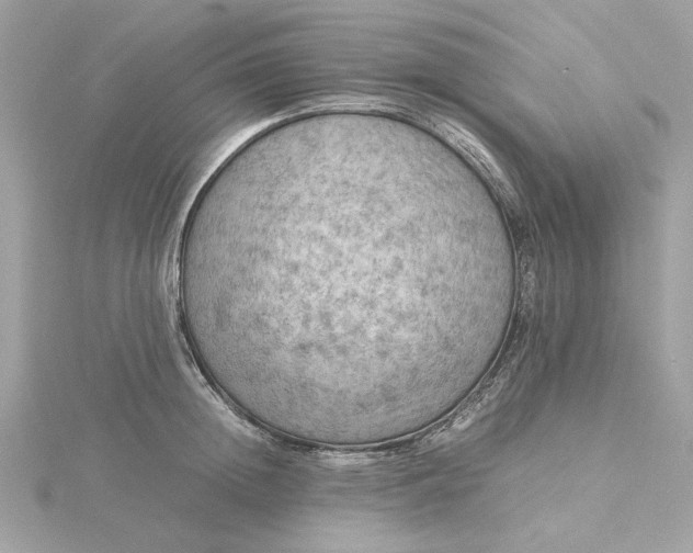 X0000116060852200912041852