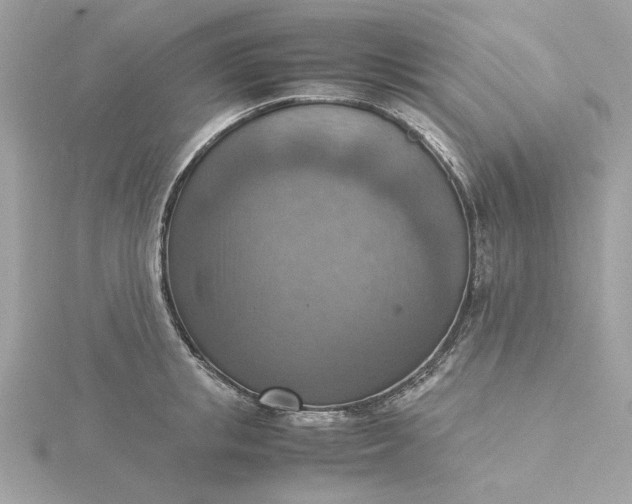 X0000116060853200912041852