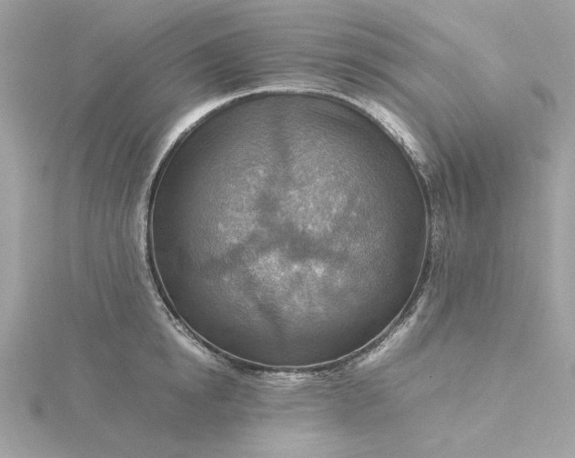 X0000116060854200912041852