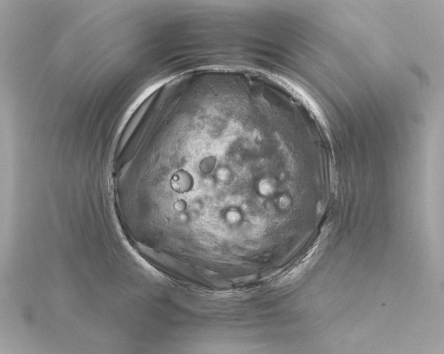 X0000116060855200912041852