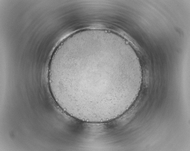 X0000116060856200912041852