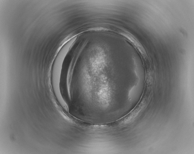 X0000116060858200912041852