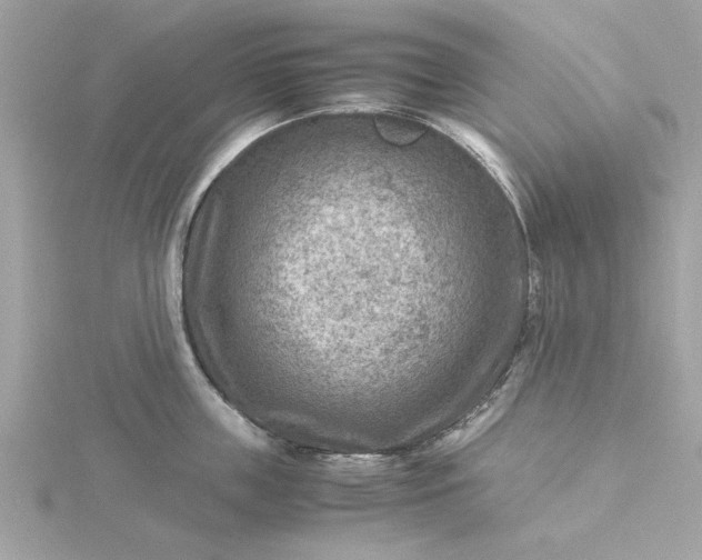 X0000116060859200912041852