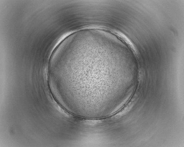 X0000116060860200912041852