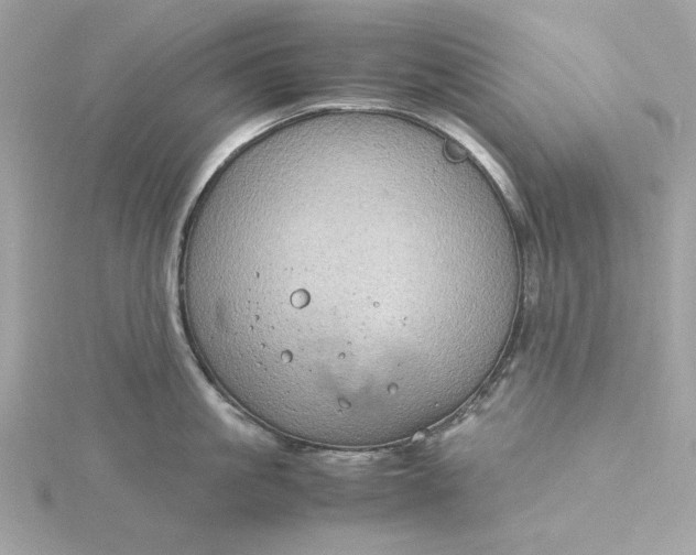 X0000116060861200912041852