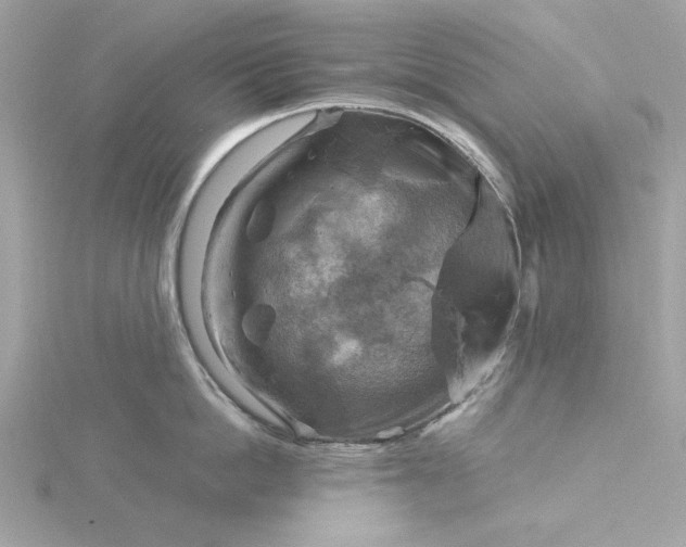 X0000116060862200912041852