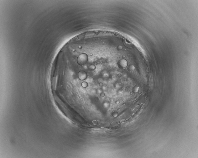 X0000116060863200912041852