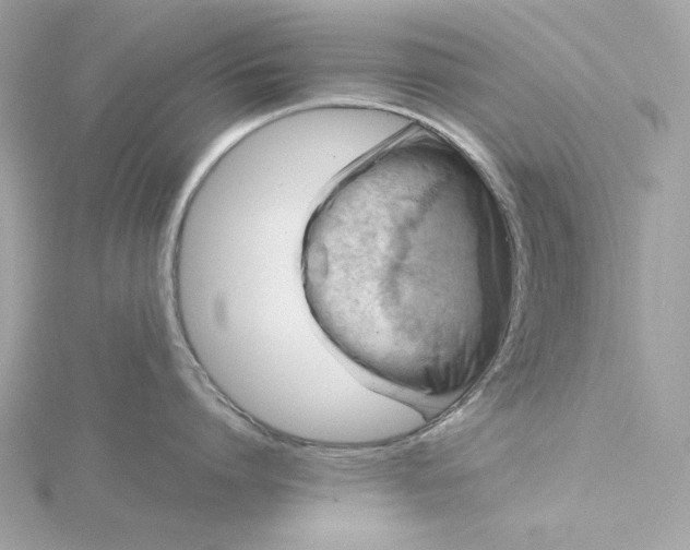 X0000116060864200912041852