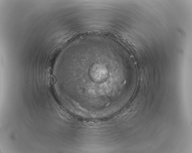 X0000116060868200912041852