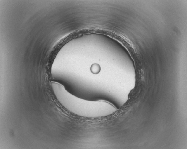 X0000116060872200912041851