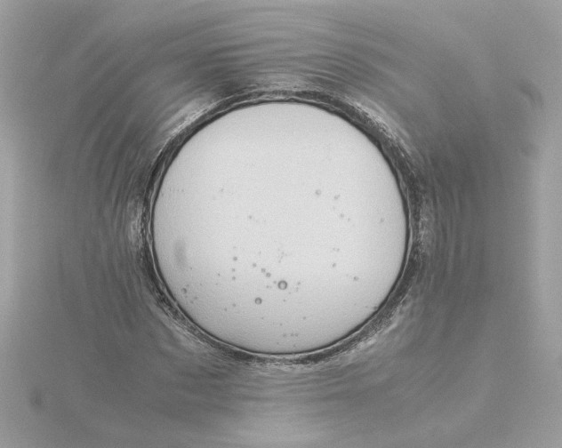 X0000116060873200912041851