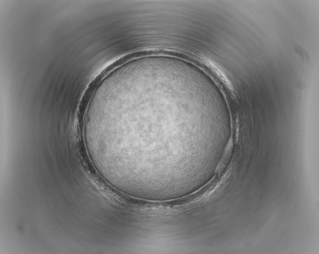 X0000116060876200912041851