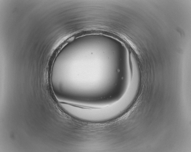 X0000116060877200912041851