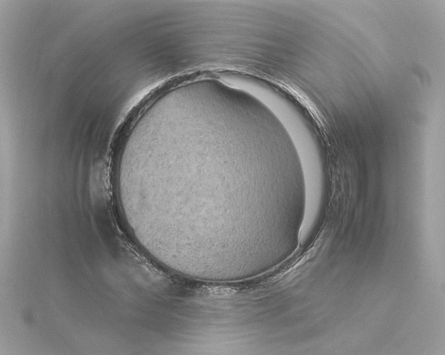 X0000116060878200912041851