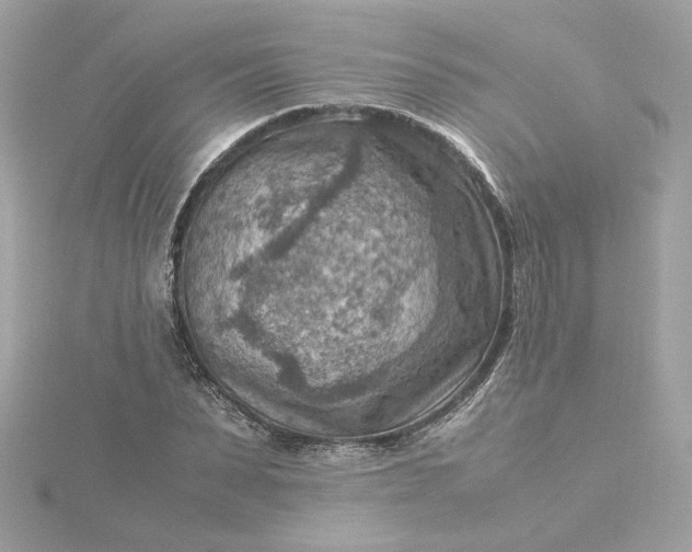 X0000116060879200912041851