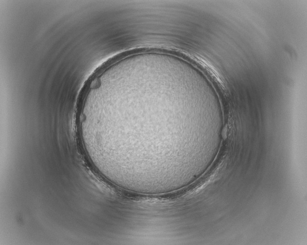 X0000116060880200912041851