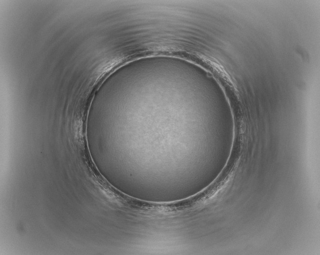 X0000116060881200912041851