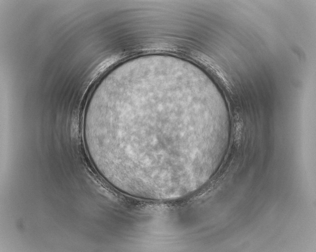 X0000116060882200912041851