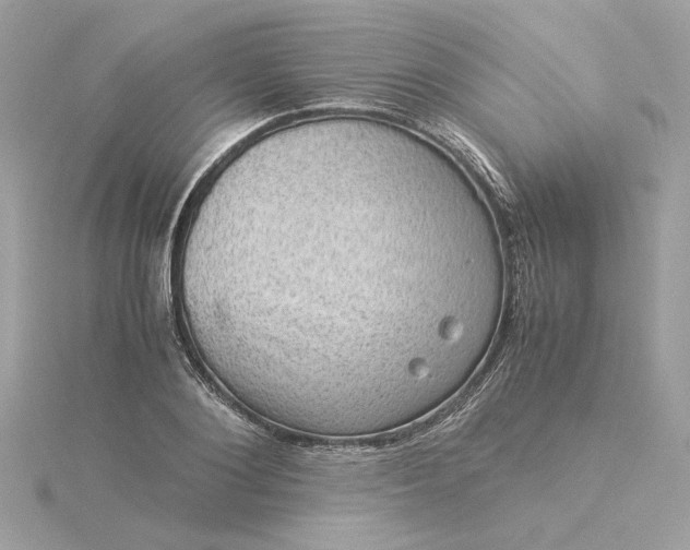 X0000116060884200912041851