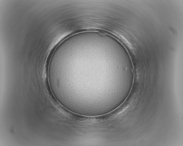 X0000116060885200912041851