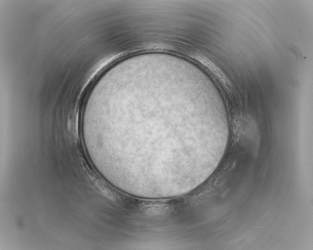 X0000116060886200912041851